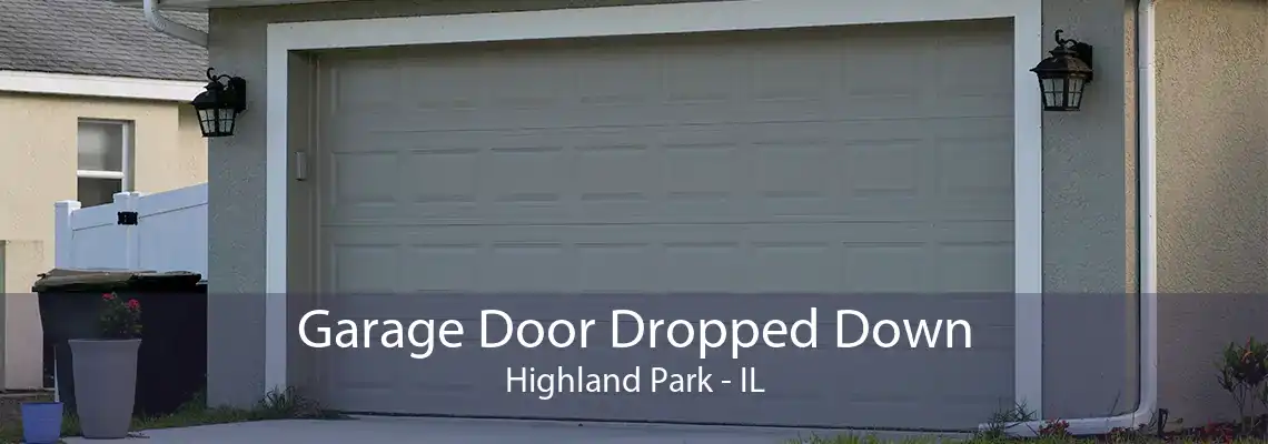 Garage Door Dropped Down Highland Park - IL